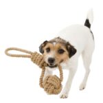 corde de jeu pour chien