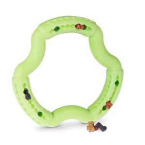 Jouet chien TPR anneau Green Apple 21cm