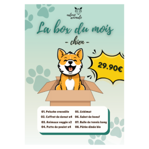 Box chien | sans abonnement