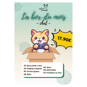 Box chat | sans abonnement