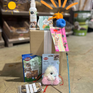 Box chat | sans abonnement