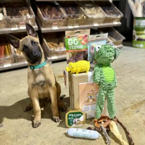 Box chien | sans abonnement